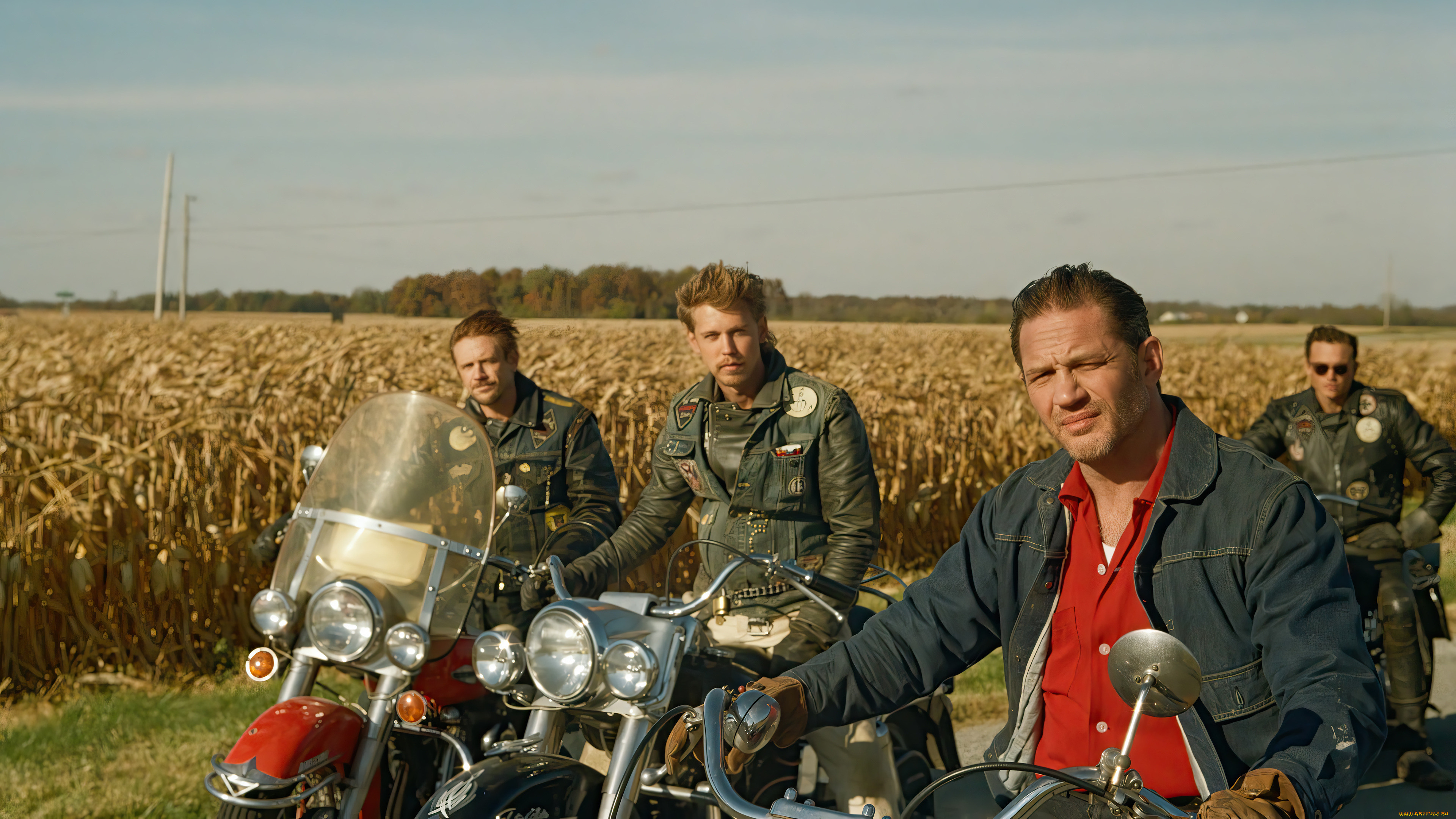 the bikeriders , 2023,  , the bikeriders, the, bikeriders, tom, hardy, austin, butler, , , 